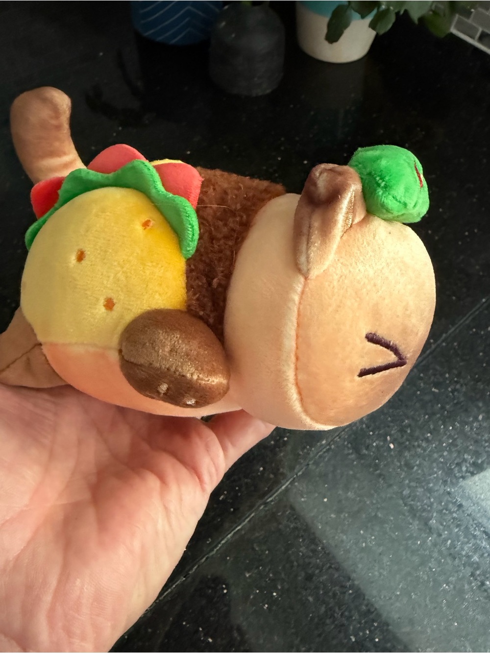 Aphmau MeeMeows SWEET TREATS Mystery Egg Plush 2022 - Taco Cat 6"